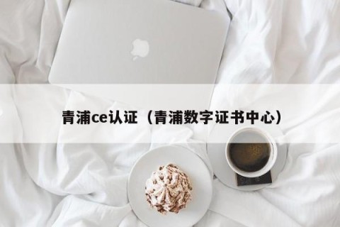 青浦ce认证（青浦数字证书中心）