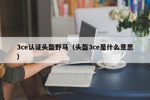 3ce认证头盔野马（头盔3ce是什么意思）