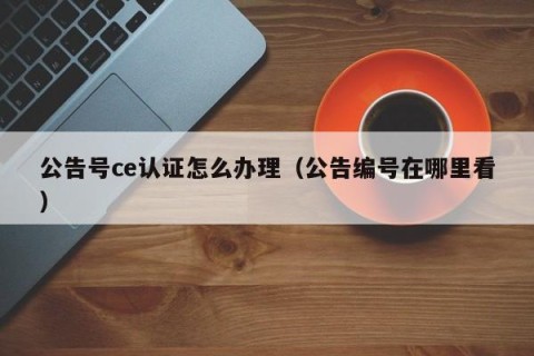 公告号ce认证怎么办理（公告编号在哪里看）