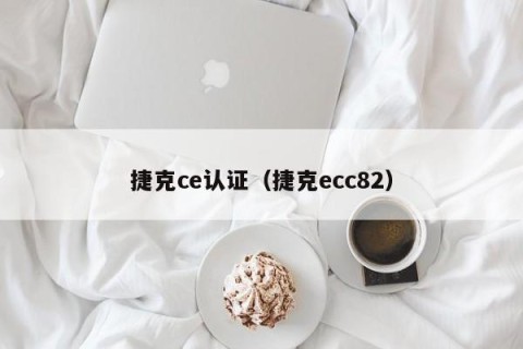 捷克ce认证（捷克ecc82）