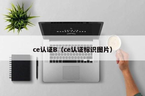 ce认证B（ce认证标识图片）