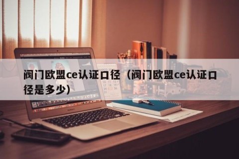 阀门欧盟ce认证口径（阀门欧盟ce认证口径是多少）