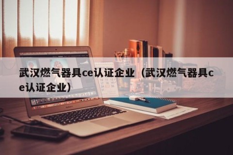 武汉燃气器具ce认证企业（武汉燃气器具ce认证企业）