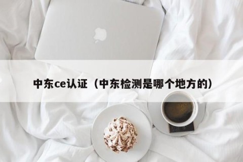 中东ce认证（中东检测是哪个地方的）