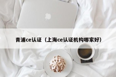 青浦ce认证（上海ce认证机构哪家好）